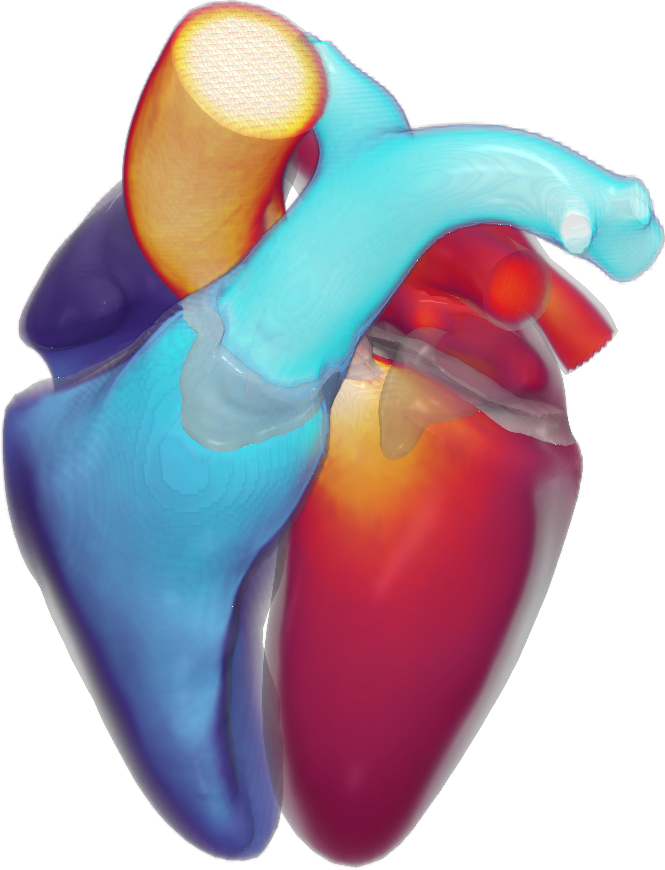 Heart CFD result