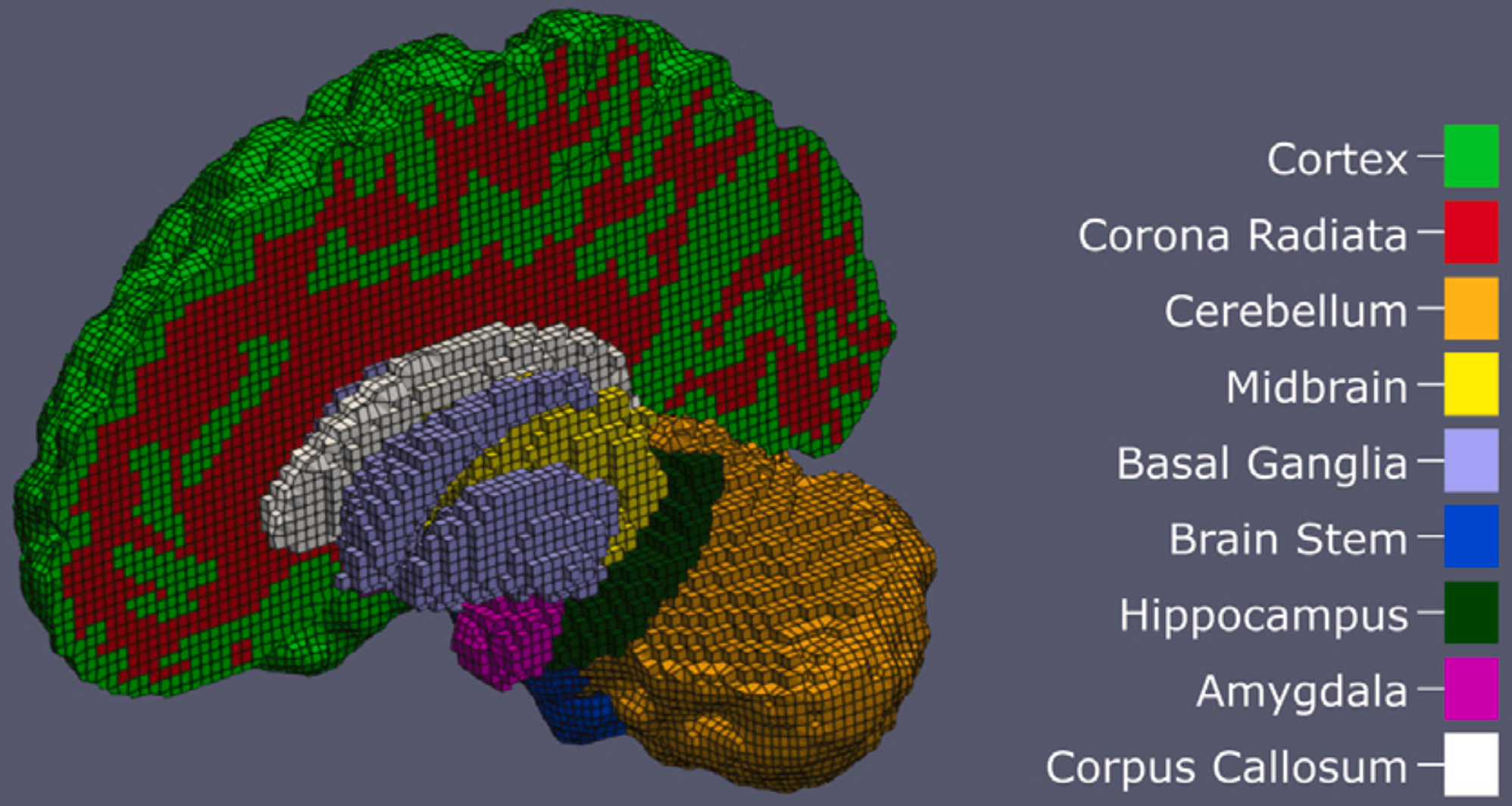 Brain application visualization
