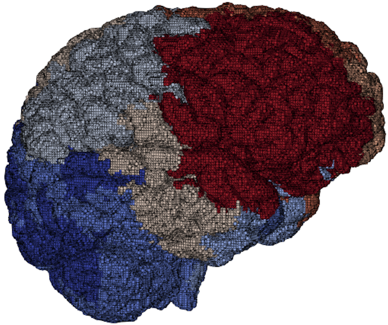 Brain application detail