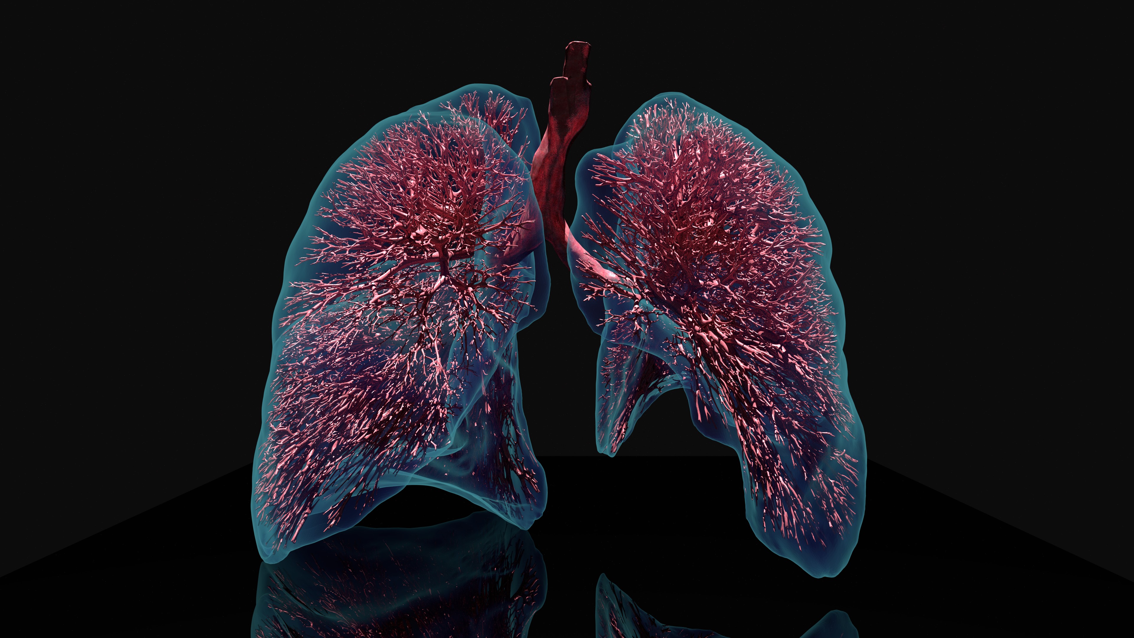 Lung model render
